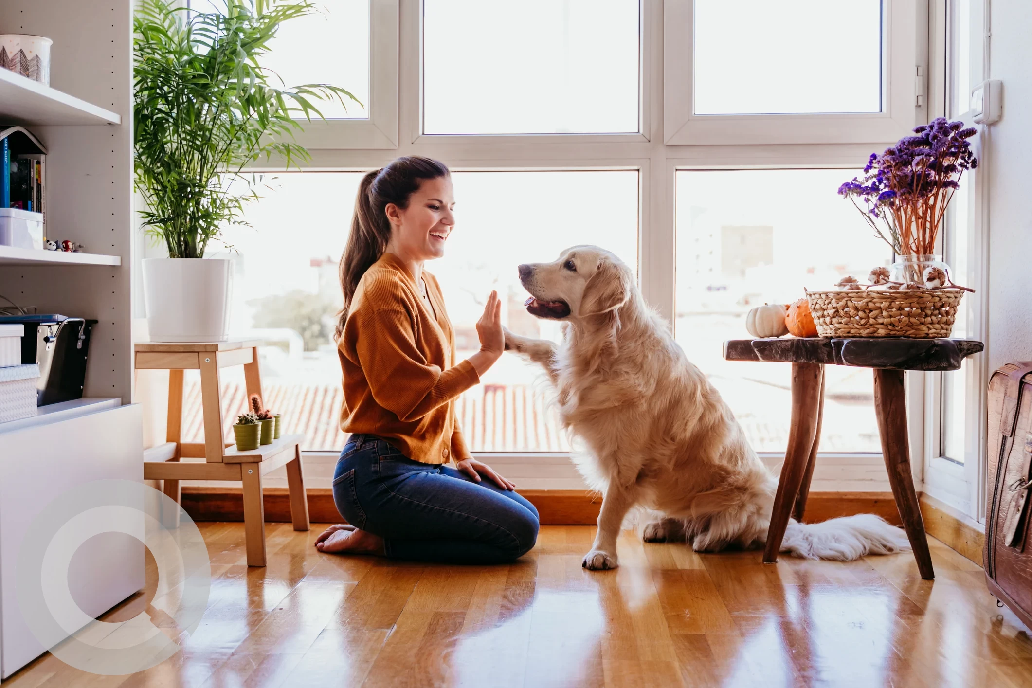 lost-dog-heres-your-comprehensive-guide-on-what-to-do