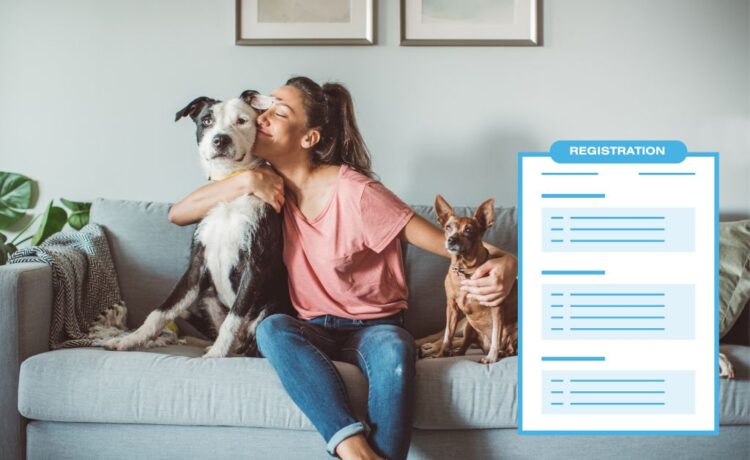 Easy online process for Pet Registration or Dog License in 2025
