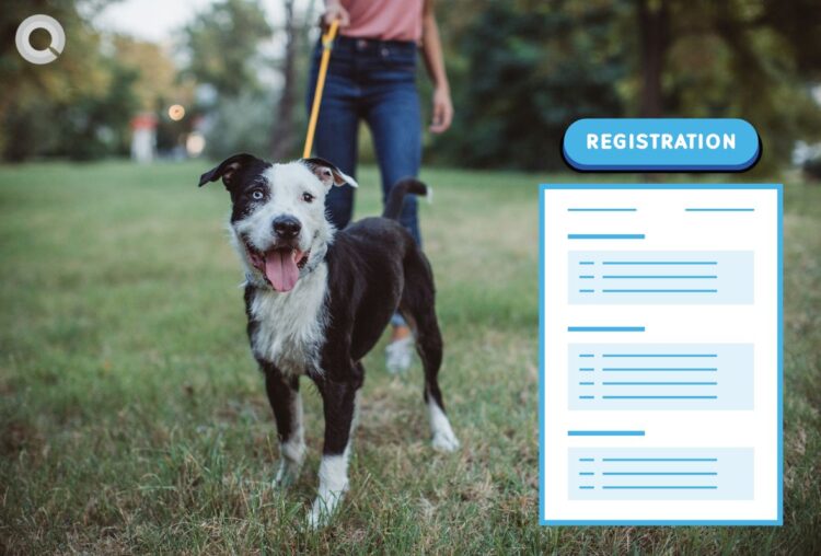 Pet-registration