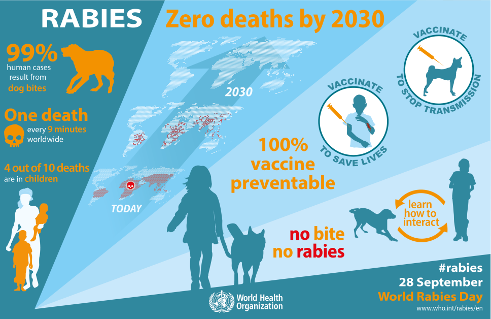 Cure for Rabies