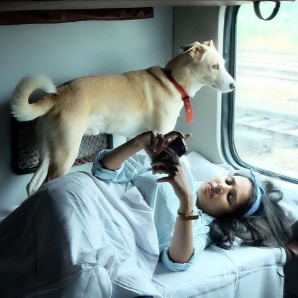 Pet Ticket Booking-coupe-application