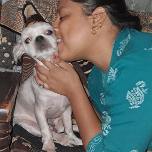 Missing: White Male Shih tzu Dog from wadhawa Ram colony panipat-3