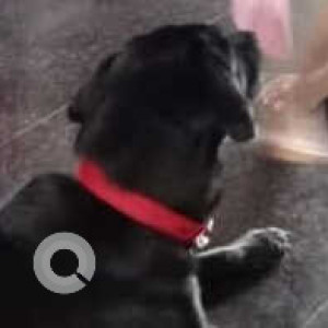 Jacky is missing from Goa-2