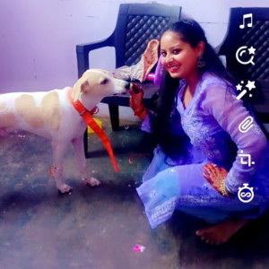 Missing: White-Brown Mix Male Indie Dog from Munirka New Delhi-2