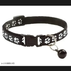 A Black and White Stray cat Cat Missing from Prayagraj-4