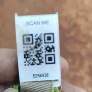 A Brown Indie Dog Found from Kodambakkam, Chennai-3