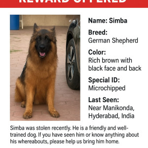 A Black and Brown German Shepherd Dog Missing from Sabza colony, tolichowki, Telangana