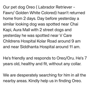 Missing: Golden Male Labradog Retriever Dog from Near V Care Hospital and Sidhanta Hospital, Danish Kunj Kolar Road, 462042-3