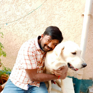 Missing: White Male Labrador Dog from Ravinaryana reddy nagar