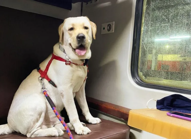 How to book ticket and travel in train with your pet?