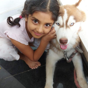 My dog missing from kr.puram extention-4