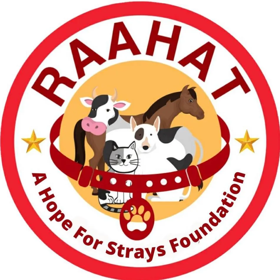 Raahat A Hope For Strays Foundation
