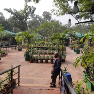 District Park B Block, Janakpuri-2