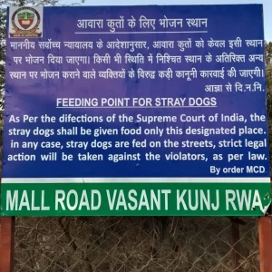 Dog Feeding Point, Mall Road, Vasant Kunj-1