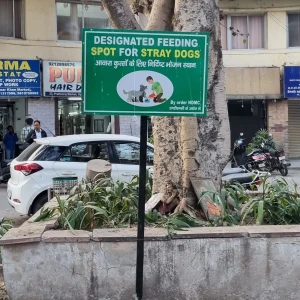 Dog Feeding Point, NDMC Parking, Khan Market