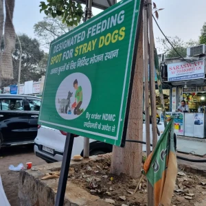 Dog Feeding Point, Prithiviraj Market, Khan Market-2