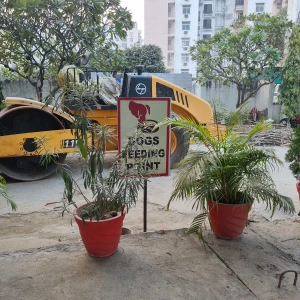 Dog Feeding Point, Rohtas Plumeria-2