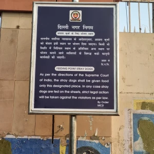 Dog Feeding Point, Jawaharlal Nehru Stadium-2