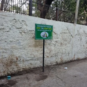 Dog Feeding Point, Prithiviraj Market, khan market-2