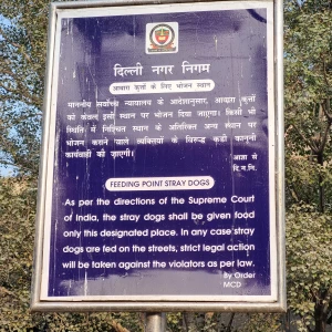 Dog Feeding Point, Pragati Vihar