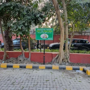 Dog Feeding Point, Parking lot, khan market-2