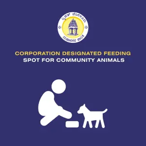 Dog Feeding Point, W-218 Bommanahalli