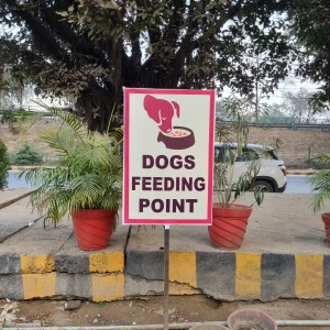 Dog Feeding Point, Rohtas Plumeria