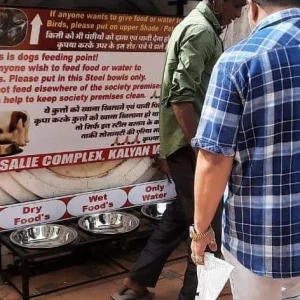 Dog Feeding Point, Rosalie Complex