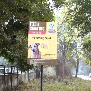 Dog Feeding Point, near Bird park, Sector 1-2
