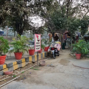 Dog Feeding Point, Rohtas Plumeria-1
