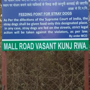 Dog Feeding Point, Mall Road, Vasant Kunj-2
