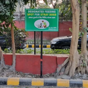 Dog Feeding Point, Parking lot, khan market