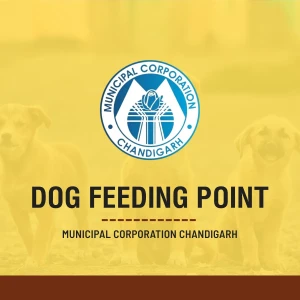 Dog Feeding Point, Near #21, Sector 5A