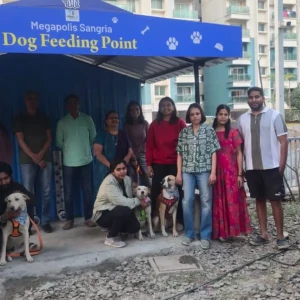 Dog Feeding Point, Megapolis Sangria, Phase 3-1