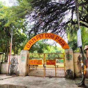 Dog Park - Rajendra Nagar