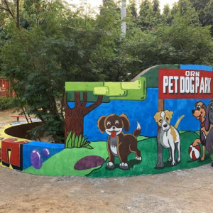 Dog Park, Block B, Rajender Nagar-1