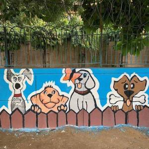 Dog Park, Block B, Rajender Nagar-3