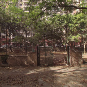Dog Park - Sector 22, Dwarka