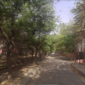 Dog Park - Sector 22, Dwarka-3