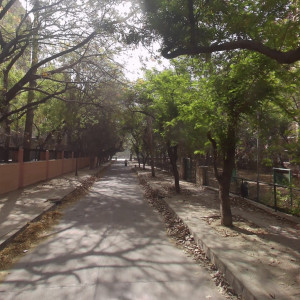 Dog Park - Sector 22, Dwarka-2