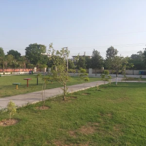 Dog Park, Mansa Devi Complex, Sector 4-2