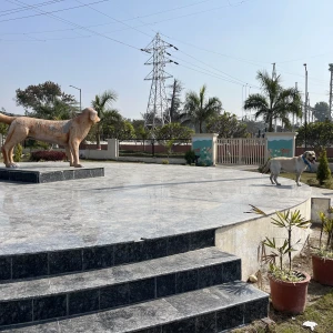 Dog Park, Mansa Devi Complex, Sector 4-1