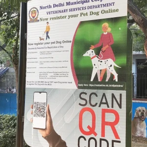 Dog Park, Block B, Rajender Nagar-2