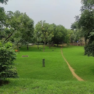 Archeological Park, Mehrauli-3