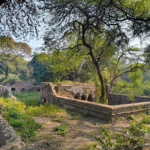 Archeological Park, Mehrauli-1