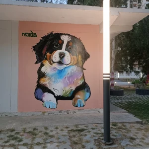 Noida Dog Park, Sector 137-1