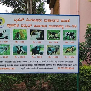 BBMP Sumanahalli Animal Crematorium-2