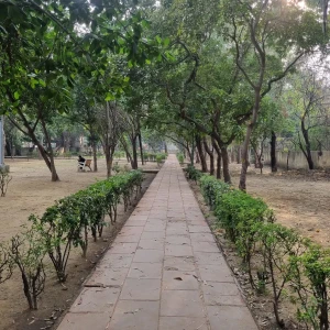 DDA Park, Green Belt, A1 Block, Janakpuri-2