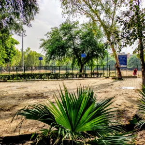 DDA District Park, Block B, Janakpuri-1