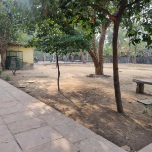DDA Park, Green Belt, A1 Block, Janakpuri-2
